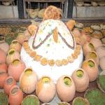 Vraj-Yatra-2014- (787)